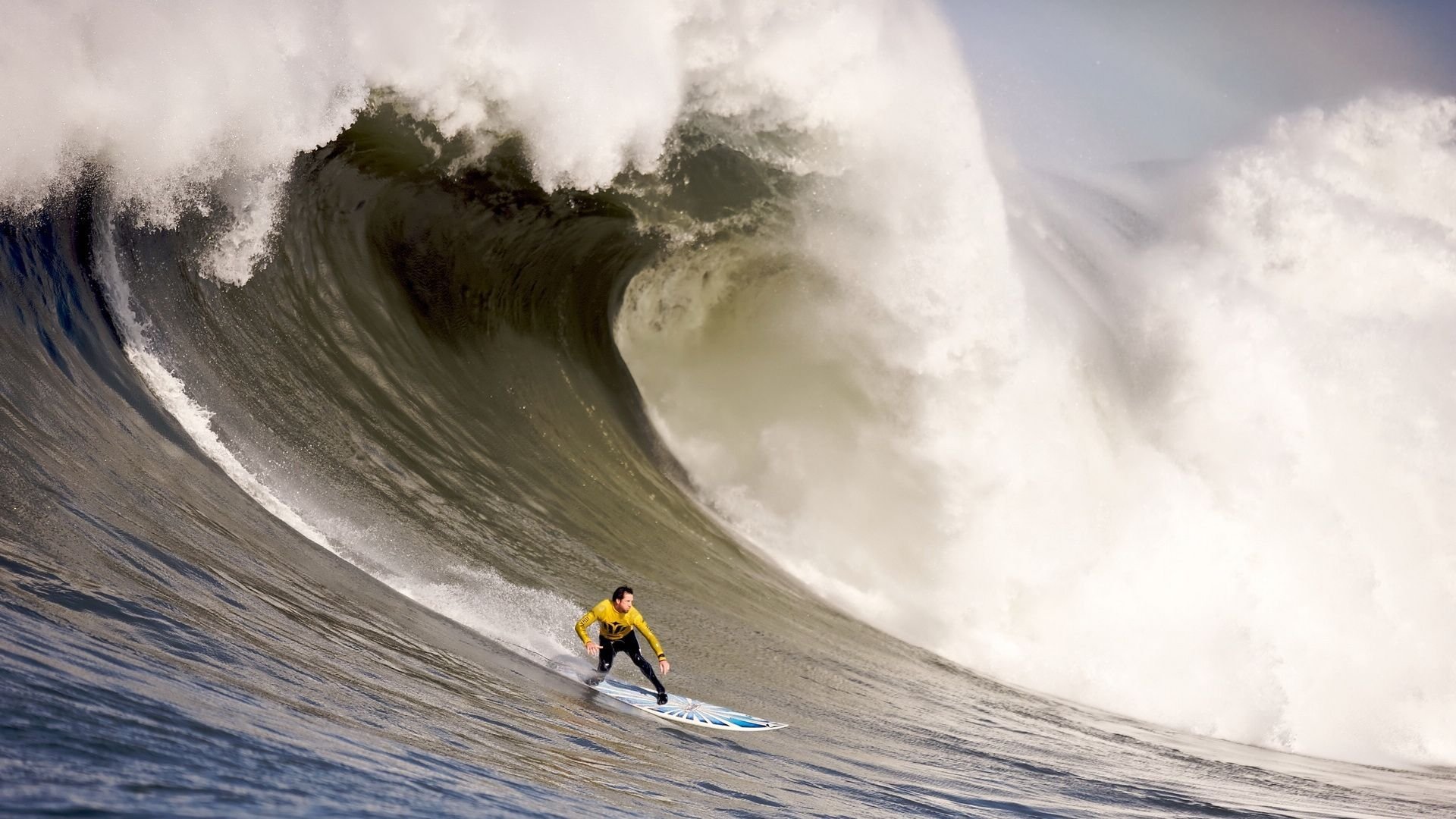 国际拳击选手职业培训与教育课程获教育部认证，国际拳击组织ibo